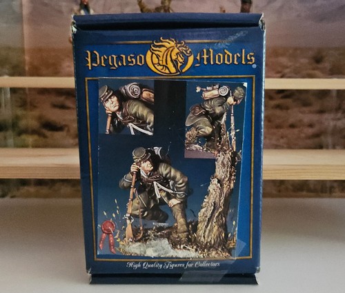 Pegaso models mm - pegaso, 54